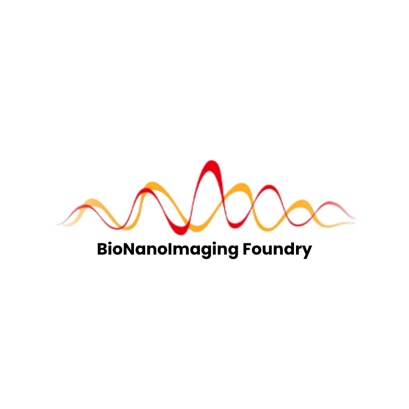Logo de la plateforme BNIF