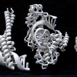 Brins d'ADN