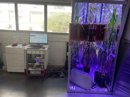 RMN Portable