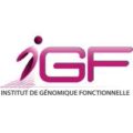 Logo IGF
