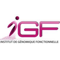 Logo IGF