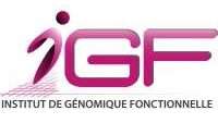 Logo IGF